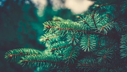 beautiful christmas background with green fir tree brunch close up copy space trendy moody dark toned design for seasonal quotes vintage december wallpaper natural winter holiday forest backdrop