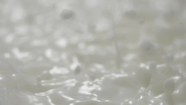Milk Splash, Milk splash Milk Drop in slow motion