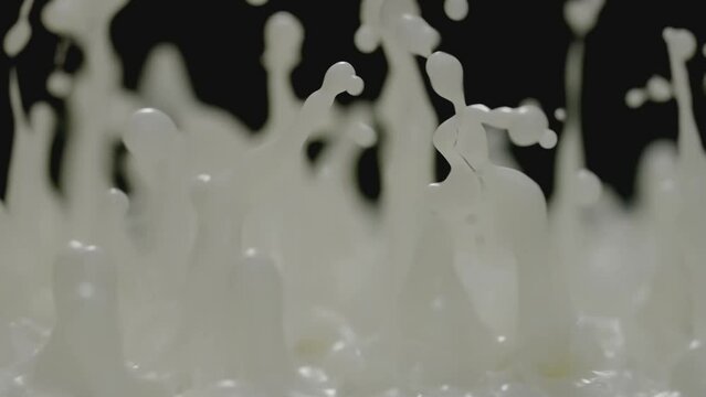 Milk Splash, Milk splash Milk Drop in slow motion On a black background