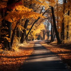 The Forest Path, a picturesque autumn road covered with fallen leaves, passes through a forest illuminated by the warm shades of autumn. Play of light and shadow, landscape with mine space.