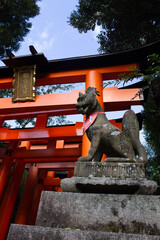 Imagen de un Kitsune de Inari protegiendo la entrada de puerta tradicional japonesa torii en el...