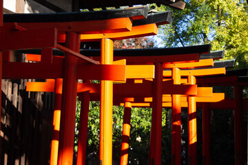 Puertas tradicionales japonesas Torii a contraluz en Santuario, Osaka, Japón