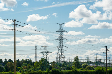 Industrial nature landscape with many high voltage power lines transmission pylons, birds on wires