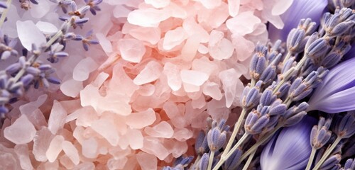 Extreme close-up of delicate flower petals, soft pastel corals and muted lavender lavenders,x