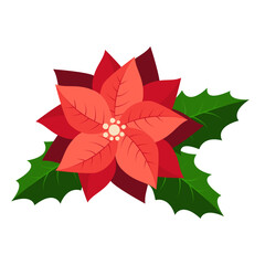 Poinsettia isolated on white. . Traditional christmas decoration. Hand drawn vector illustration isolated on white background, flat cartoon style.