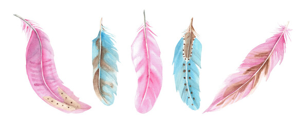 Set of blue and pink feathers isolated on white background, watercolor hand drawn illustration. For decoration, cards and textile prints.