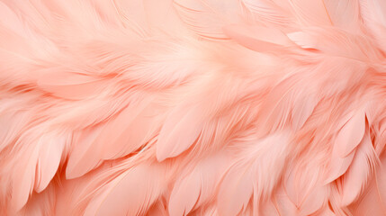 Background of delicate peach-colored feathers close-up