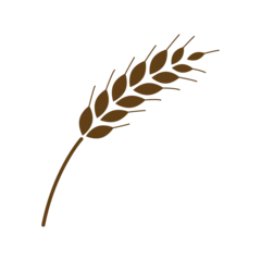 Tuinposter Isolated colored wheat icon Flat design Vector © laudiseno