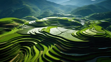 Fotobehang Aerial view of terraced rice field © Fly Frames