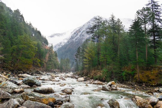 Parvati river in the mountains