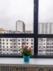 Saint Petersburg, September 27, 2023.  View from the window to multi-storey modern residential building at on the right bank of the Neva, - 692158716