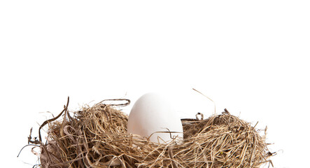 Egg in Nest from the Side