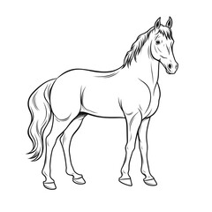 Minimalistic Cute Horse - Full Body Line Art Vector