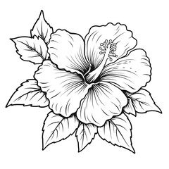 Minimalistic Hibiscus Line Art Vector SVG Coloring