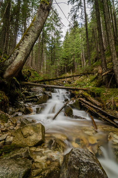 Long exposure of river in the forest in Zakopane, Poland in Tatra park in May during spring with colourful leaves and rocks are so amazing with smooth water like painting.