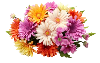 Foto op Canvas Bunch of Stunning Graceful Assorted of Gerbera Daisies Dahlias Flowers Isolated on Transparent Background PNG. © Sajid
