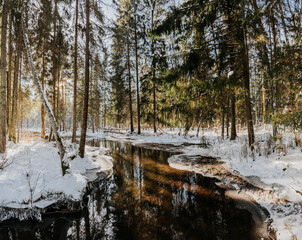 Winter woodland: snow-covered trees, peaceful stream, tranquil beauty of nature.