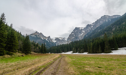 Beautiful panorama in Tatry mountains valey, Dolina Malej Laki - Polana Malolacka © mantinilt