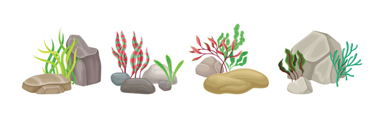 Sea Stones with Seaweeds and Algae Vector Composition Set © Happypictures
