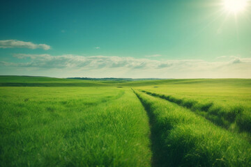 Fototapeta na wymiar Attractive Beautiful panoramic natural landscape of a green field with grass against a blue sky with sun. Spring summer blurred background photo shot