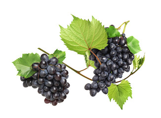 Delicious fresh grapes and green leaves falling on white background