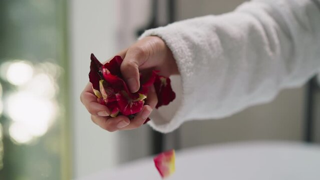 Woman adds handful of rose petals into bathtub closeup. Lady in cozy bathrobe throws aromatic flowers in foamy water preparing romantic atmosphere. Spa ritual