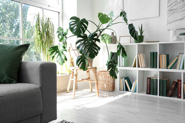 Interior of living room with shelving unit and houseplants - obrazy, fototapety, plakaty