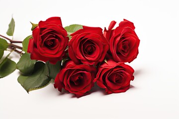Obraz premium Bouquet of red roses on white background