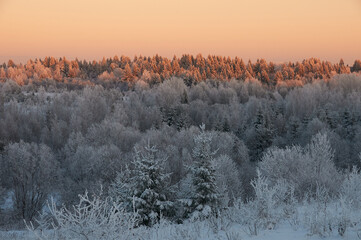 Beautiful winter landscape on a winter forest