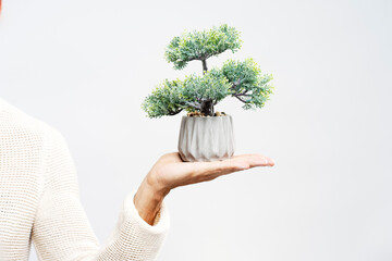 Man holding small miniature bonsai tree isolated on gray background. Gardening concept, plant care