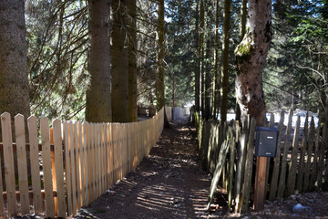 Wooden plank fence near a footpath in the forest in perspective. A place for hiking