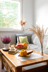 Cozy living room interior with sofa, coffee table, pumpkins and plants