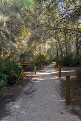 Wanderweg im Naturschutzgebiet Punta de n´Amer bei Cala Millor, Mallorca
