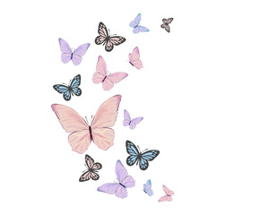 set of butterflies