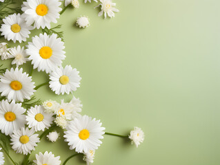 Frame with Daisy chamomile flowers on pastel green background with copy space inside