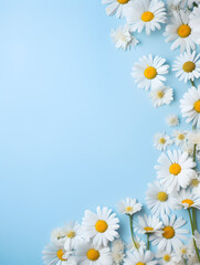 Frame with Daisy chamomile flowers on pastel blue background with copy space inside