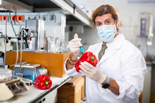 Middle-aged male scientist injecting reagent from syringe into bell pepper, performing scientific researching of food genetic modification in laboratory - Powered by Adobe