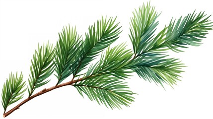 A Beautiful Pine Tree Branch With Lush Green Leaves