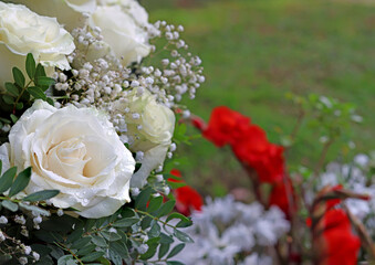 White roses wet from the rain.