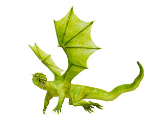 Obraz premium ドラゴン