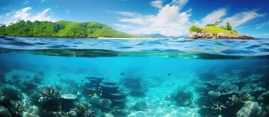 Beautiful Colorful Rich Coral Reefs of Yabiji Miyako Island Okinawa in Crystal Clear Water. Copy space image. Place for adding text or design