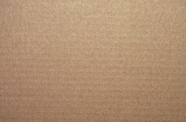 The background of the cardboard box with the entire surface sharp ,  on which the text in black and...