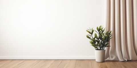 Minimal abstract background for product presentation. Shadow of plant leaves and curtains, white wall and green plant. 