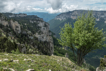 Point de Vue vers la Tête de L' Agnelet, Massif du Vercors , Drôme , Alpes