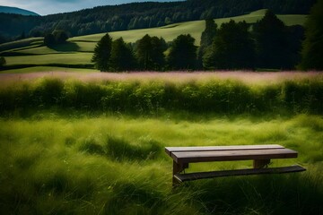 Capture the essence of minimalism in an image featuring a tranquil meadow with a single, unadorned bench overlooking a simple, unspoiled view