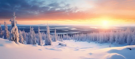 Foto auf Alu-Dibond Aerial view to winter landscape in Lapland Finland Snow covered fir trees at sunset. Copy space image. Place for adding text or design © Ilgun