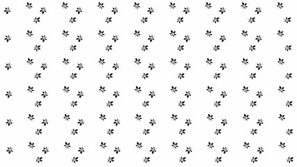 black and white background with stars