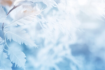 Fototapeta premium Frame of frozen leaves. Ice blue background. Cold winter theme.