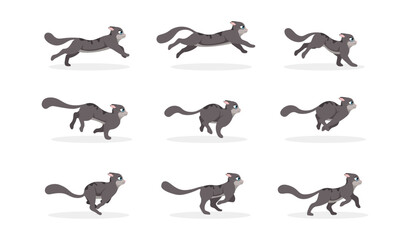 Fototapeta premium Cat Run cycle Animation frames. Sprites sheet for animating moving pet or kitten. Walking or rushing animal. Design for video clip. Cartoon flat vector illustration set isolated on white background
