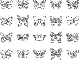 butterfly summer spring insect icons set vector. nature art, fly colorful, natural beautiful, beauty decoration, style animal, wing butterfly summer spring insect black contour illustrations